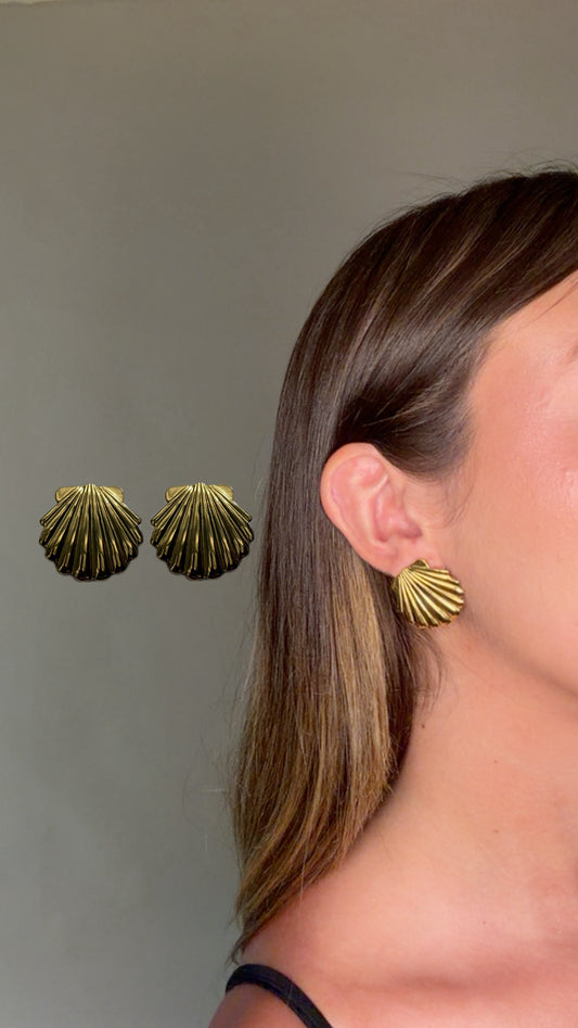 Golden Shell Earrings